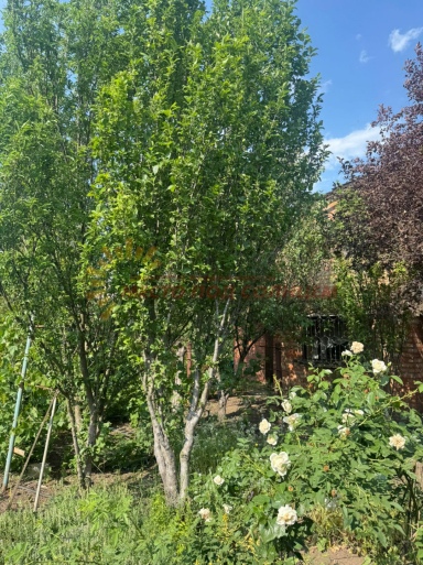 6c750be59673b606ea5b891cddfe8d2f6a151e86705fa5f8087dbffc67123521