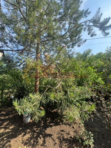 6dc96455ae67e2222a2c9a1ab6704aaeeb3193d43d13fe78c8582cbf13d34947