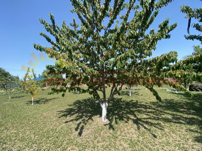 413da122b1e7ed35f3f528cb35f194b22fd89224fa7bc4433780579e1c99ddb7