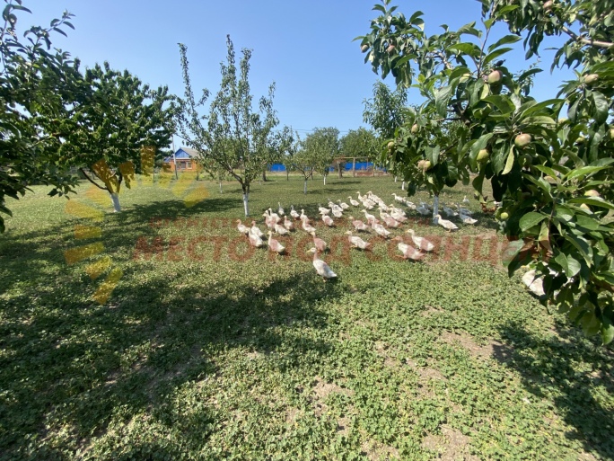 de054bb837e3330abc67a9192b801960b3da9be7a542e3041ff22d02f5feb89c