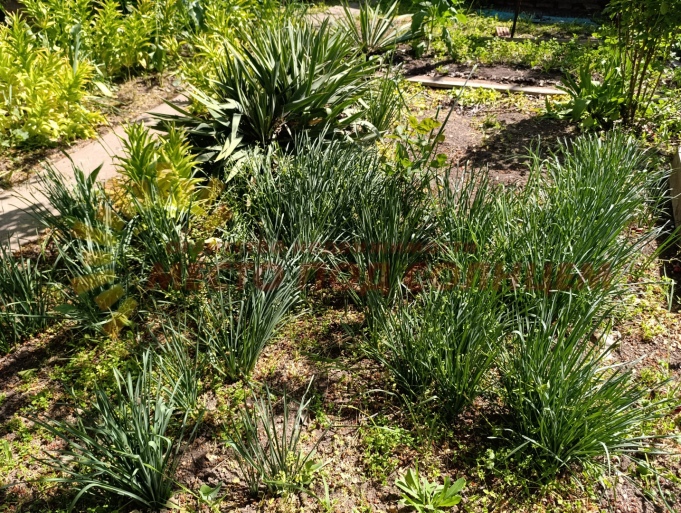 2acf2c177d93eab65d12f7bf5b0906b2e9beca1be300577e8b95bb6f58d7cd4f