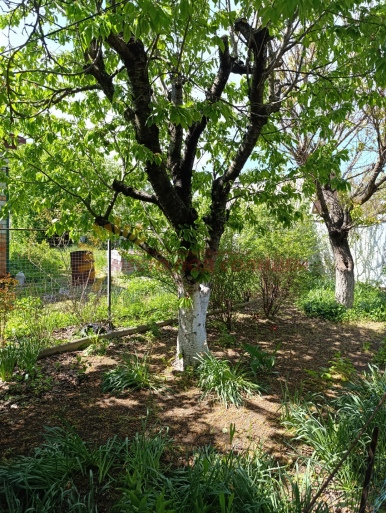 9a83d37e531a570878a0f97a0372638268706fb6b41629d9f72f1098daeff283