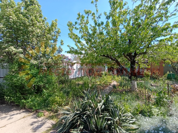 e066197a5473715af7bacddc5f2da78f66bea3853d5dc404257ced48e7e8078d