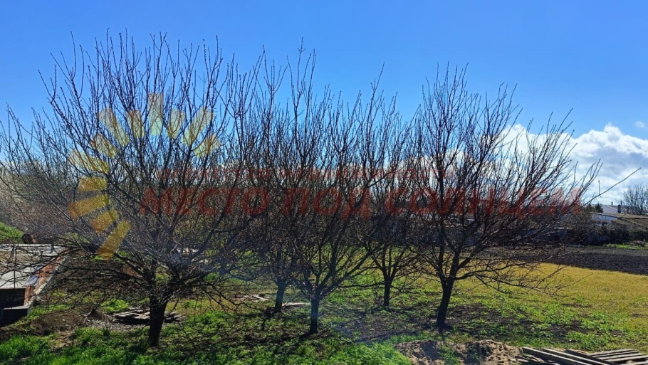 52cca844ebbc40cc96ba0e1856d1c9ff62ef65e031dbe28ae8600e1331b20504