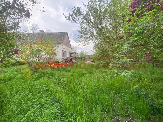 09d585dff0ceb85c5bfd06da49df80f564130aaef59eb6ae377f204bad1436c0