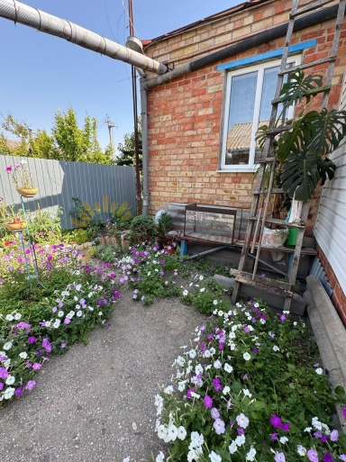 6e30b300589eda69ec2f39ef6fff9a63a5e0b7c3a859f46475065a863449789f