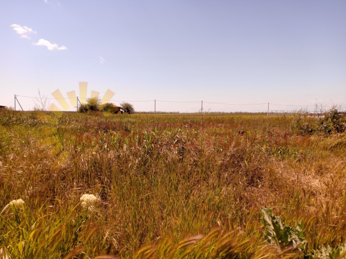 465c75381980368ce2ae488bc684e03b4254ee8103be24cea973ec7350037e2f