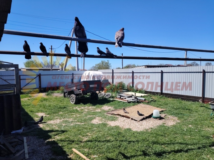 551617bc4275415ce620c32b24f6aa7e05abc494ee991baae4a9ee64ab4fb2b7