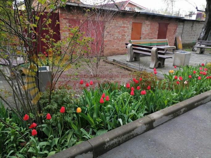 a79bf6393b0a7eee44efb084a69dbe8b7afa5cba2dad667f52eb7fb0c01a482a