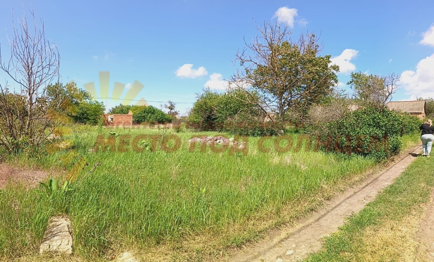 2d0adc94586893c475d994f14c67dee061fa09ef77b27bef82f3baaaf9163856