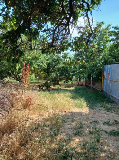 161a3dbc06decb6692901e939d9235fe2090649f60105bdfe58c9e52887361c3