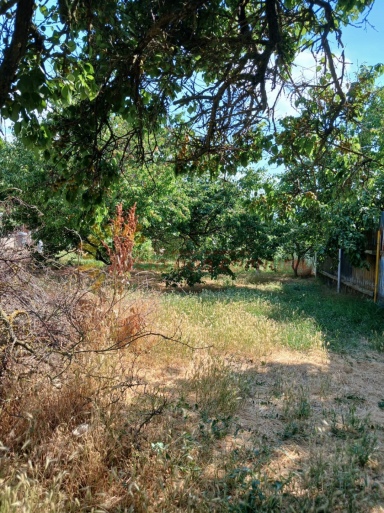 39857cd1537657a6433ac117b500b9d114f4c4e178a6cfc95fd26dd88f0bc9eb