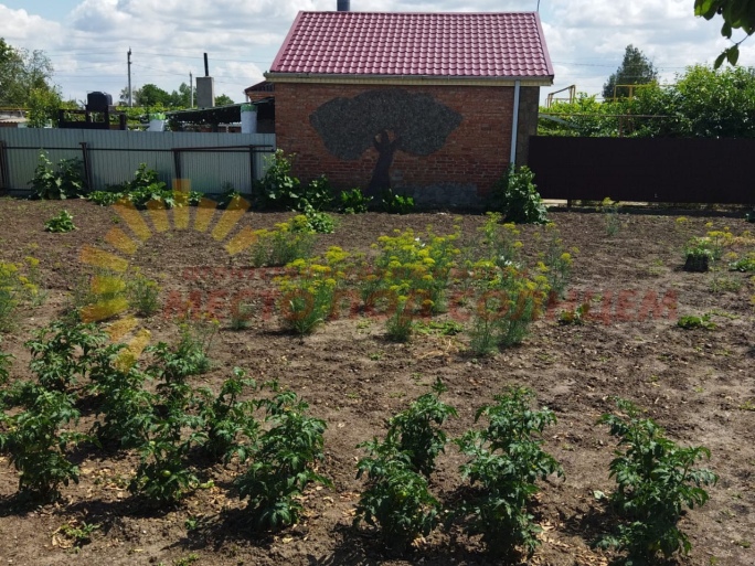 284b7634a935dc4e47c8bf1d9bfac41beb221240562e7512cc36a4547cd8618e