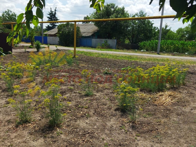 4254c8a37d61b05c8ed7d969cc29fd52927bb5389a6641075be8cf280114a20c