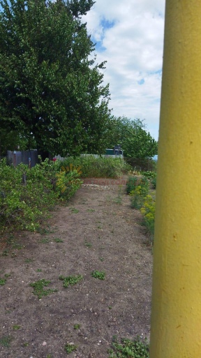 f7e886cdbc895b9c575b406dae1b8e05f8a2f3d12124d64d046e87ec3c250fce