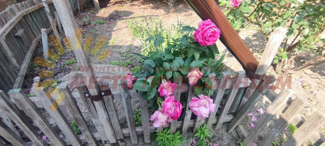 19a1aed9ab2f3e74b90edece78dc3c284e9a5e2cb5a5650e80dbc32dc9d15766