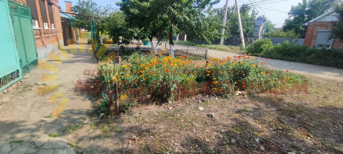 80cc1314f84a009ccdf45734b8ddf39e2b47ceaa172854c2e237bde254e1eccc