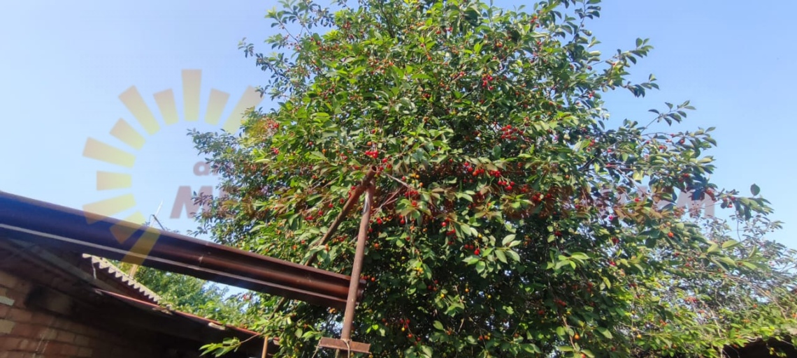 acfb1ecc4b58a1399666947d6a550c2f4583e0850030e3b06890bb7432647293