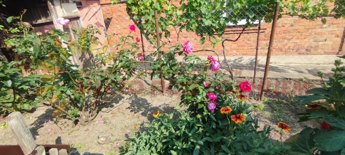 b621ef70477684379f1528798fd88cb9e6fa919c6c4040df2c25cccf3bf09b00