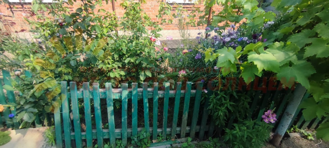 d3fe2539cfc142169a51b71aca7a376714ee09424a836c9e33d0c56f30438979