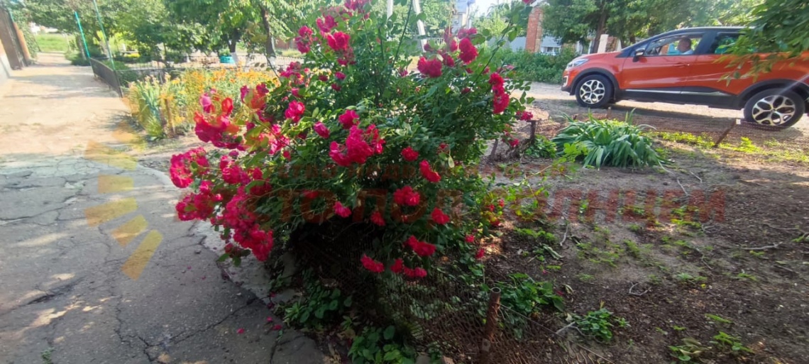 f1724ea59a70d0eb5f525edf2c3a6fb15c09c6200174978c213e6f2f50af2ba6