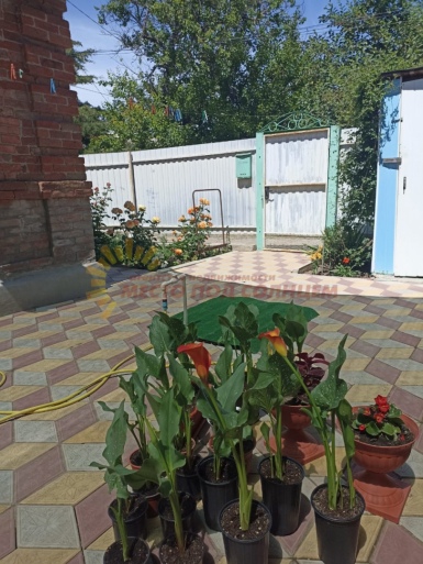 423bc0eda753199aa5879aea76e37859a6daf1d7ae5fec7a54f3cbabf24e7124