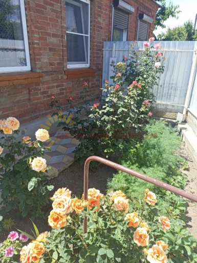 be80e76cf6074fc7326dd785059fb388006d84fdf082815d6c19d21a94f6a945