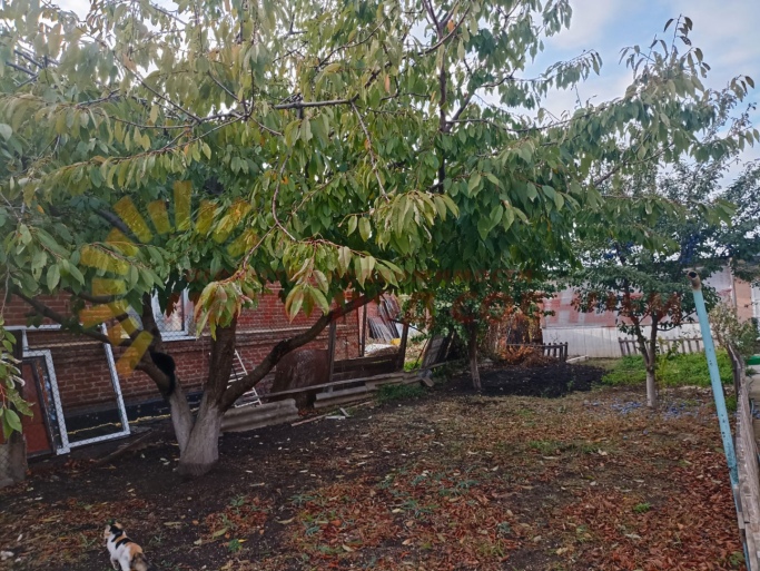 32ad858ac2ecd9ad947480de2ccb728bc5f6311d6959f74a7047fe65e9d7b493