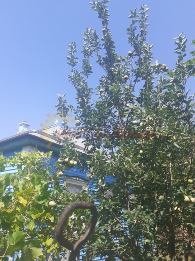 3851ae85db9713558c689bf1ce7713c66e46bd3b2b76a12cfcb7e80a2f9a5867