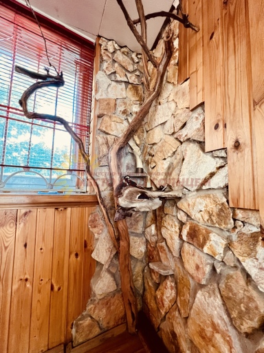 d6fbcc4a838633fd03cddd03b737dfc221e1f011ece4ee32f3694a7ef32f9478