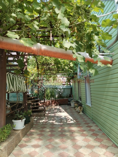 777b061af8acc0c925eeda19bd842f630f272d7260d03d37e8702fe1746ab88d